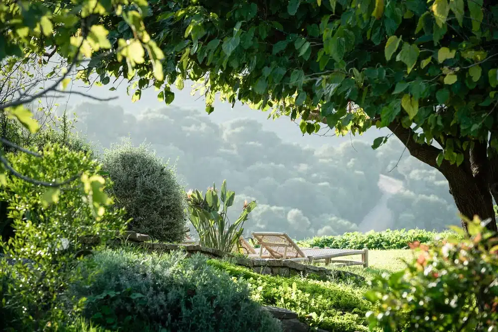 nature wellness retreat